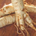 Ginseng: An Overview of the Herbal Supplement