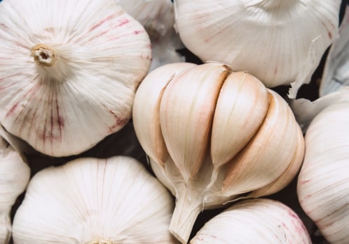 Everything You Need to Know About Garlic